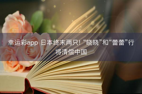 幸运彩app 日本终末两只! “晓晓”和“蕾蕾”行将清偿中国