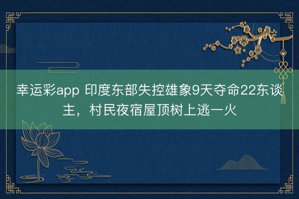 幸运彩app 印度东部失控雄象9天夺命22东谈主，村民夜宿屋顶树上逃一火