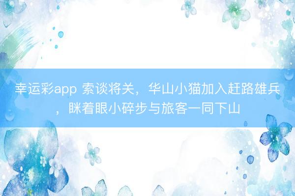 幸运彩app 索谈将关，华山小猫加入赶路雄兵，眯着眼小碎步与旅客一同下山