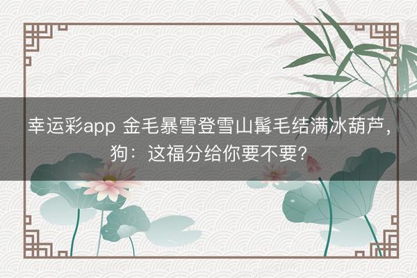 幸运彩app 金毛暴雪登雪山髯毛结满冰葫芦,狗:这福分给你要不要?