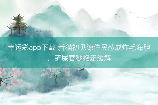 幸运彩app下载 新猫初见谅住民怂成炸毛海胆，铲屎官秒抱走缓解