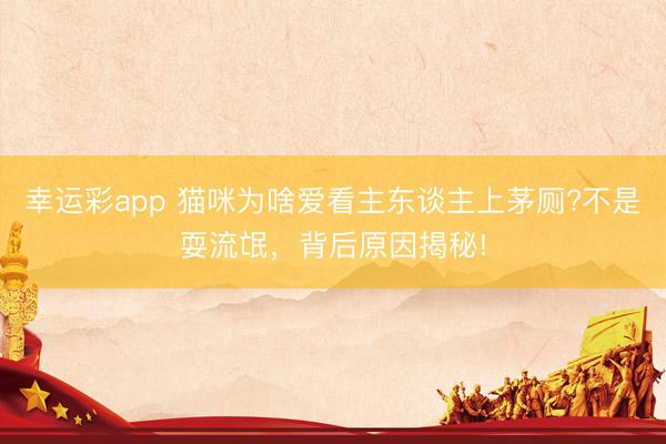 幸运彩app 猫咪为啥爱看主东谈主上茅厕?不是耍流氓，背后原因揭秘!