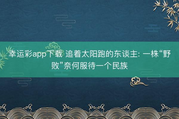幸运彩app下载 追着太阳跑的东谈主: 一株“野败”奈何服待一个民族